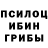 Псилоцибиновые грибы Magic Shrooms gugoska