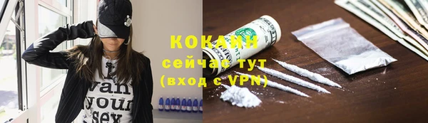 тгк Алзамай